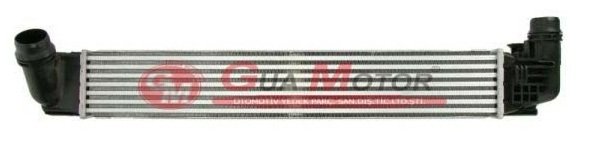 Dacia Dokker Duster 1.5 Dci Turbo Radyatör 8200880552 -Gua