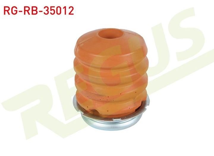 REGUS Master 3-III Arka Çift Teker Arka Dingil Takozu 552400039R