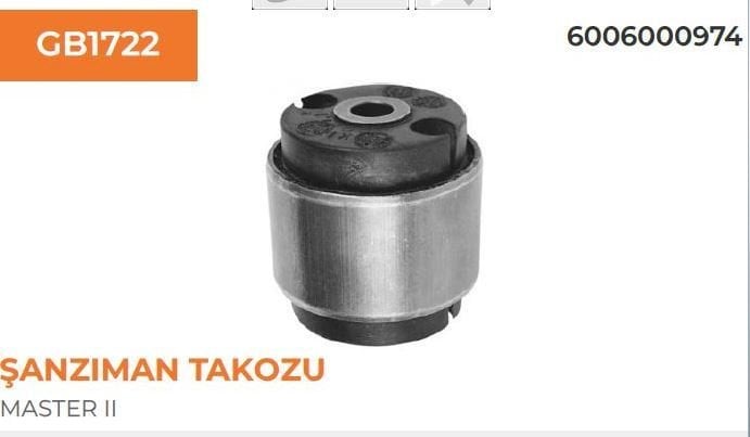 Master Şanzıman C Burcu 6006000974