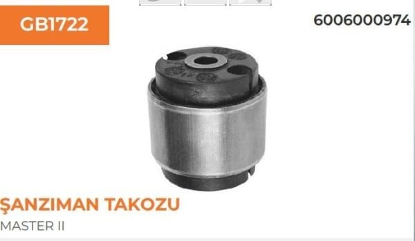 Master Şanzıman C Burcu 6006000974