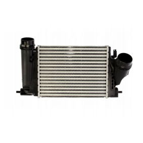 Renault Megane 4-IV Kadjar 1.5 Dci Turbo Radyatörü 144614EA0A