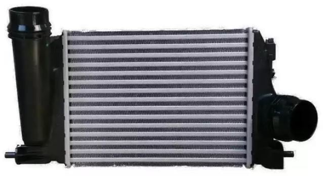 Renault Megane 4 - Kadjar Turbo Radyatörü 144614EA1B