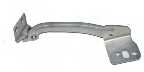 Renault Kango 3 Kaput Menteşesi Sağ 8200386304