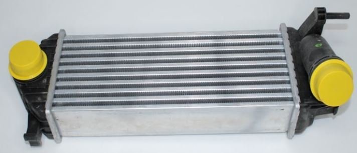 Renault Kango 3 1.5 Dci K9K Turbo Radyatörü 144963234R