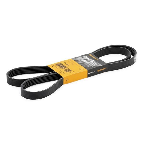 Laguna Megane Scenic 1.9D Dizel F9Q Alternatör V Kayışı 7701065995