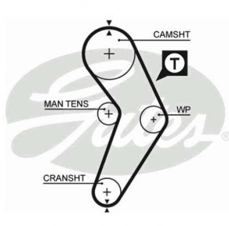 Clio Megane R19 Triger Kayışı 95 Diş 7700736969