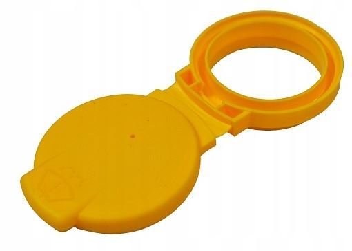 Renault Clio 5 Su Fıskiye Depo Kapağı 289139896R