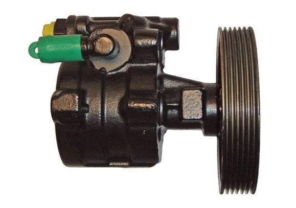 R19 1.6 R21 Manager Direksiyon Pompası 7700795295