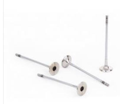 Megane 1, Laguna 1-2-3 2.0 16 Valf F4R Subap Takımı 8200151546